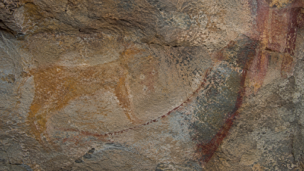 San halkı fosilleri San halkı fosilleri
